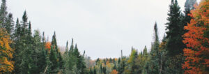Residential land plot in Haridwar